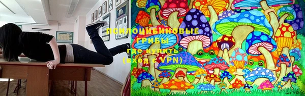 не бодяженный Магас