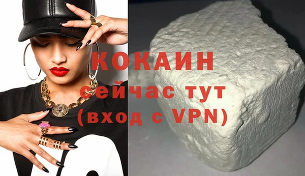 гашик Мегион
